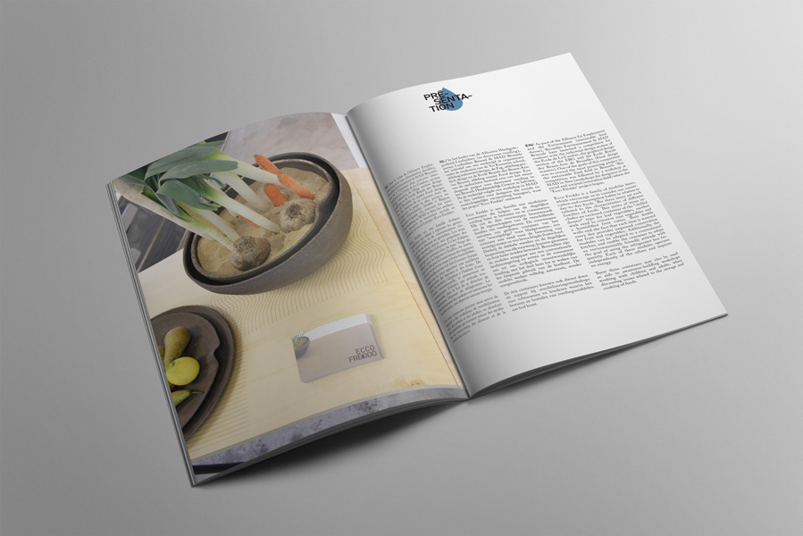 fanzine-ecco-freddo-presentation